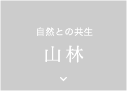 自然との共生　山林