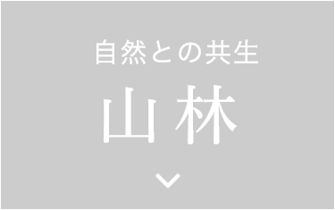 自然との共生　山林